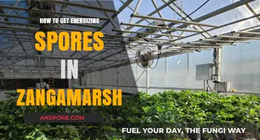 Energizing Spores in Zangamarsh: A Quick Farming Guide