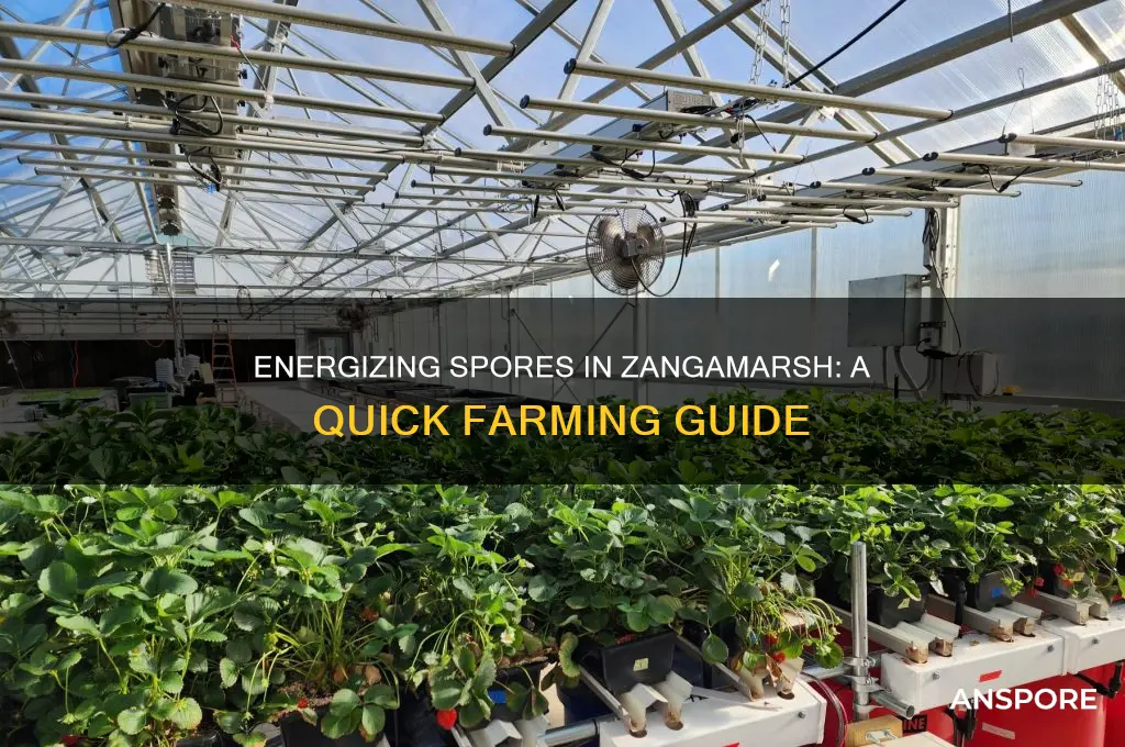 how to get energizing spores in zangamarsh