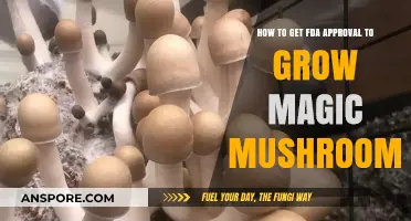 Navigating FDA Approval for Cultivating Psilocybin Mushrooms Legally