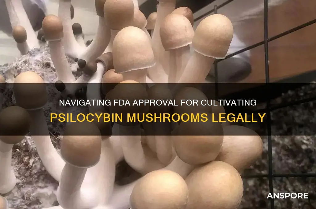 how to get fda approval to grow magic mushrooms
