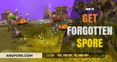 Rediscovering Forgotten Spore: A Step-by-Step Guide to Reclaiming the Game