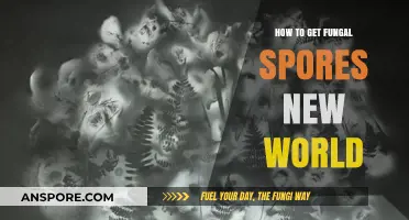 Mastering Fungal Spore Collection in New World: A Comprehensive Guide