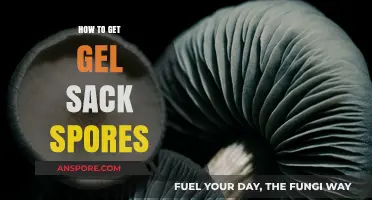 Cultivating Gel Sack Spores: A Step-by-Step Guide for Beginners