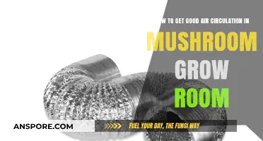 Optimize Airflow: Essential Tips for Mushroom Grow Room Ventilation
