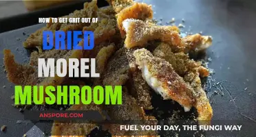 Effective Techniques for Removing Grit from Dried Morel Mushrooms