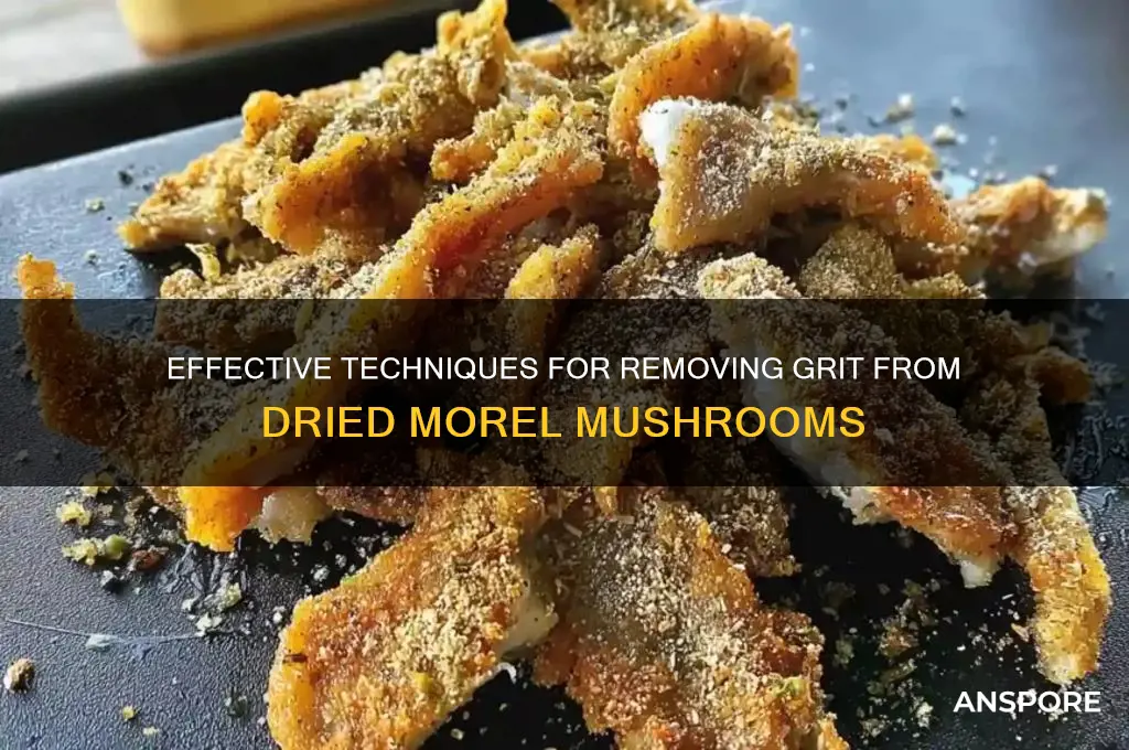 how to get grit out of dried morel mushroom