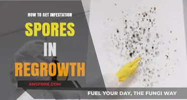 Effective Strategies for Obtaining Infestation Spores in Regrowth
