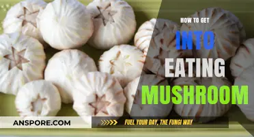 Discover the Delicious World of Mushrooms: A Beginner's Guide