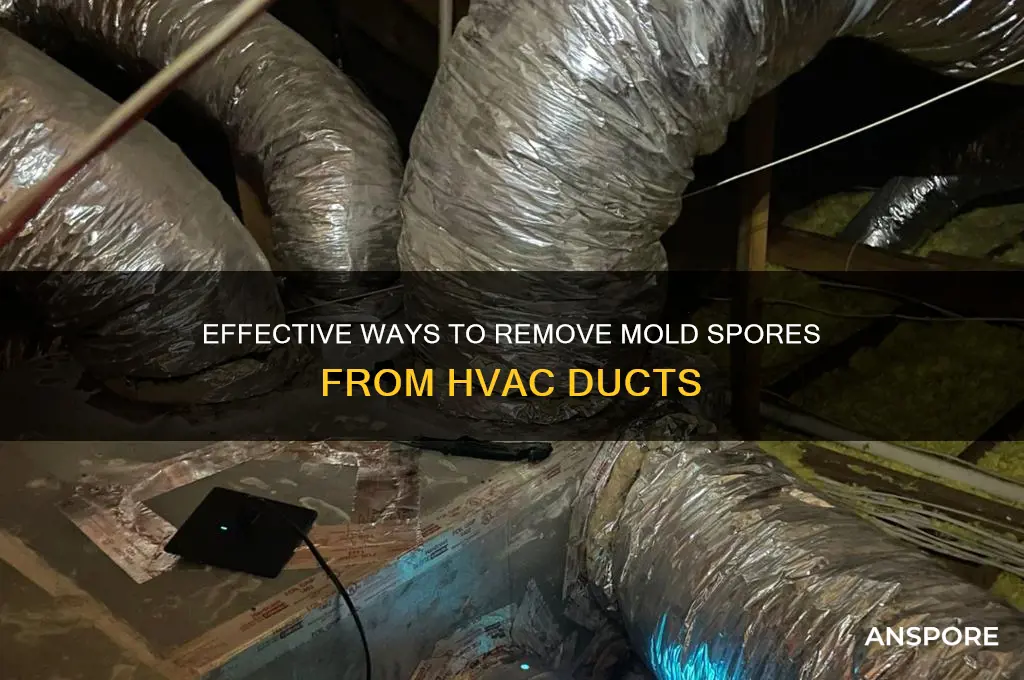 how to get mold spores out if hvac ducts