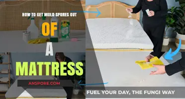 Effective Ways to Remove Mold Spores from Your Mattress Safely