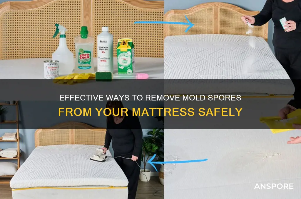 how to get mold spores out of a mattress