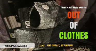 Effective Methods to Remove Mold Spores from Your Clothes Safely