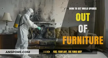 Effective Ways to Remove Mold Spores from Furniture Safely