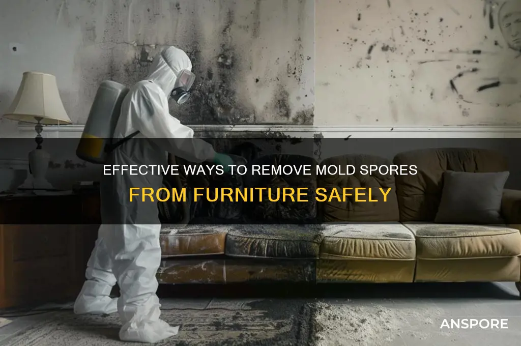 how to get mold spores out of furniture