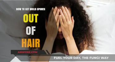 Effective Ways to Remove Mold Spores from Your Hair Safely