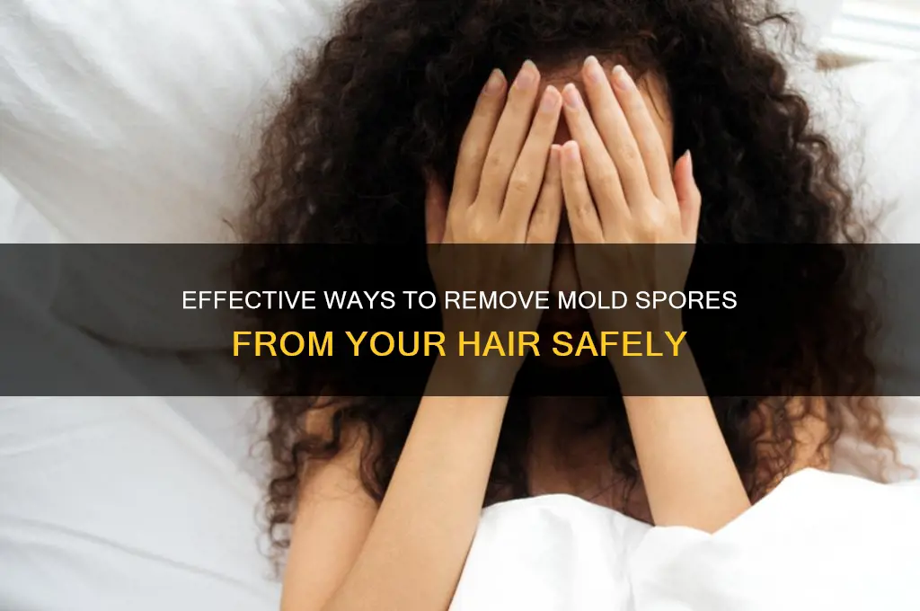 how to get mold spores out of hair