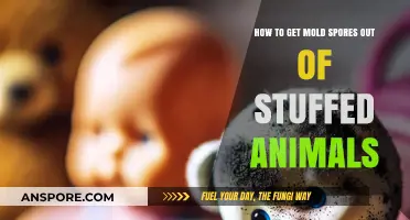 Effective Ways to Remove Mold Spores from Stuffed Animals Safely