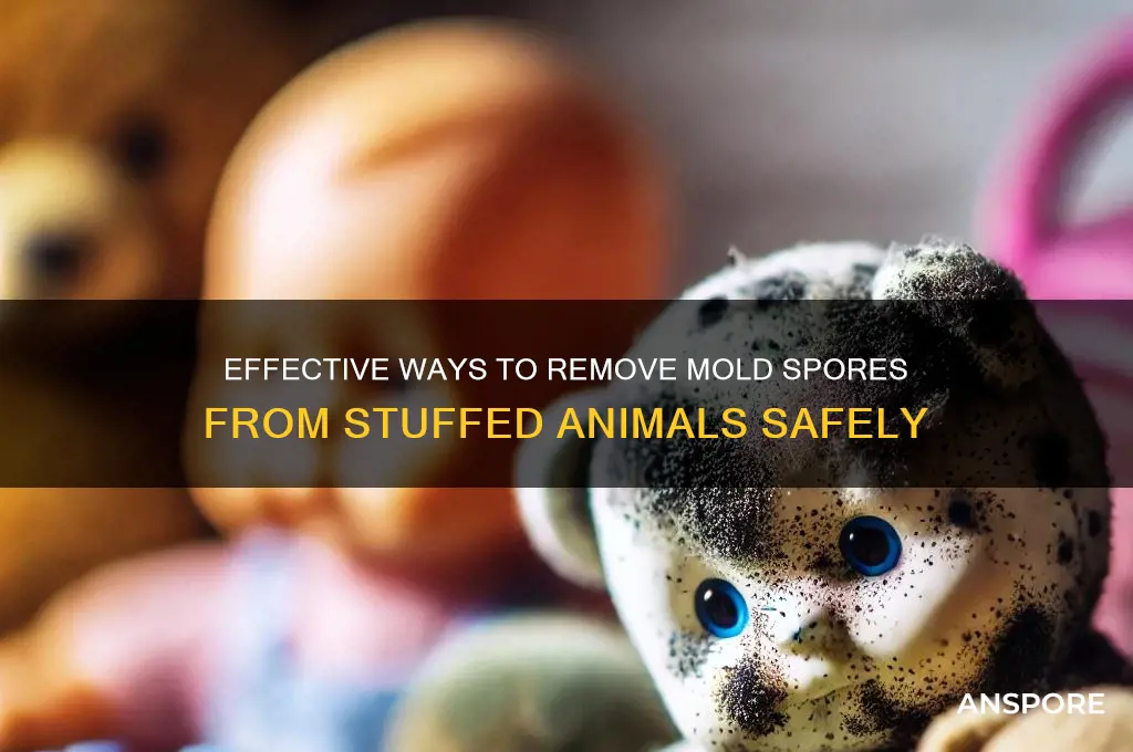 how to get mold spores out of stuffed animals