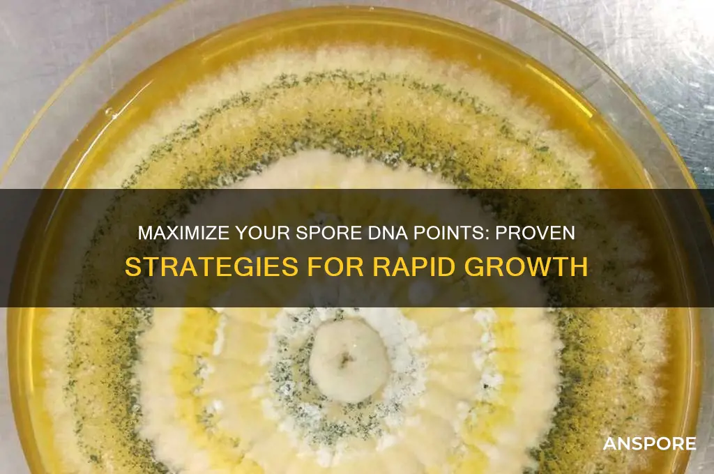 how to get more dna points in spore