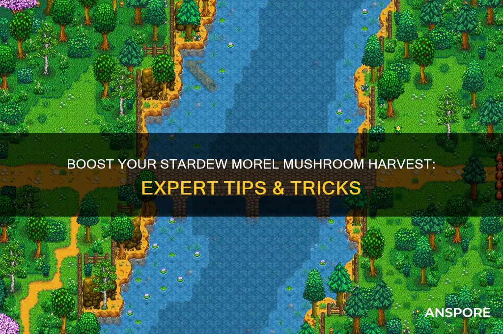 how to get more morel mushrooms in stardew