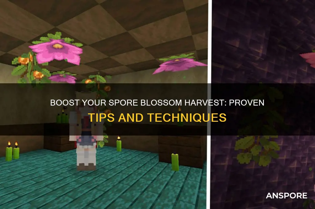 how to get more spore blossoms