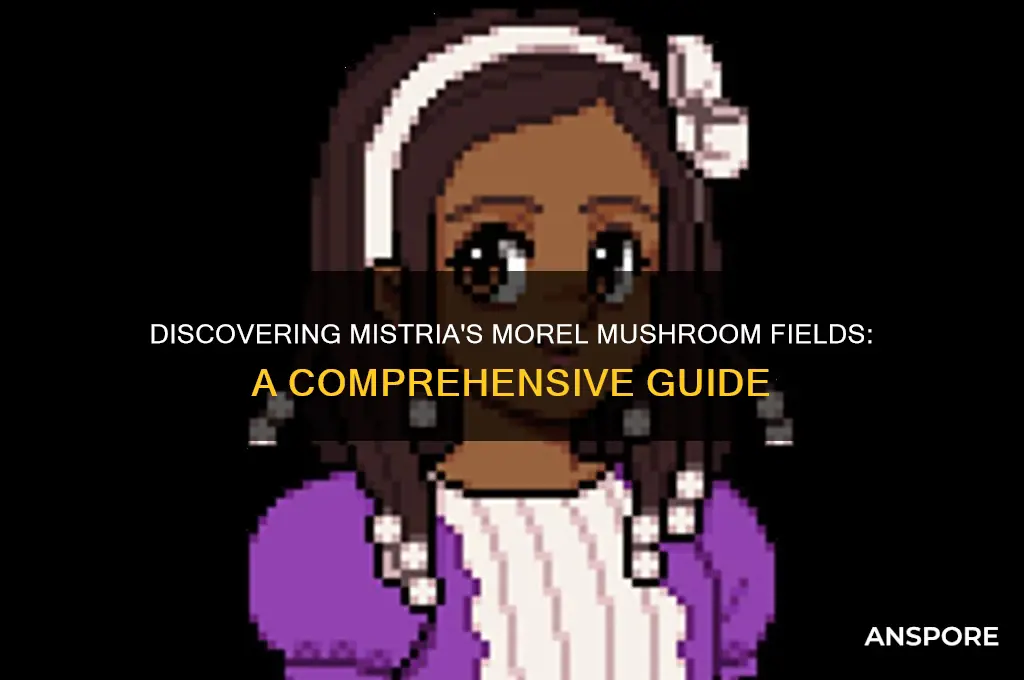 how to get morel mushroom fields of mistria
