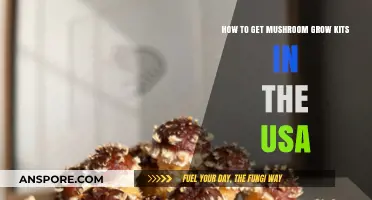 Where to Buy Mushroom Grow Kits in the USA: A Guide