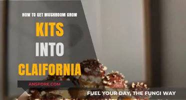 Shipping Mushroom Grow Kits to California: Legal Tips and Best Practices