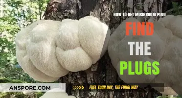 Finding Mushroom Plugs: A Beginner's Guide to Locating Quality Plugs