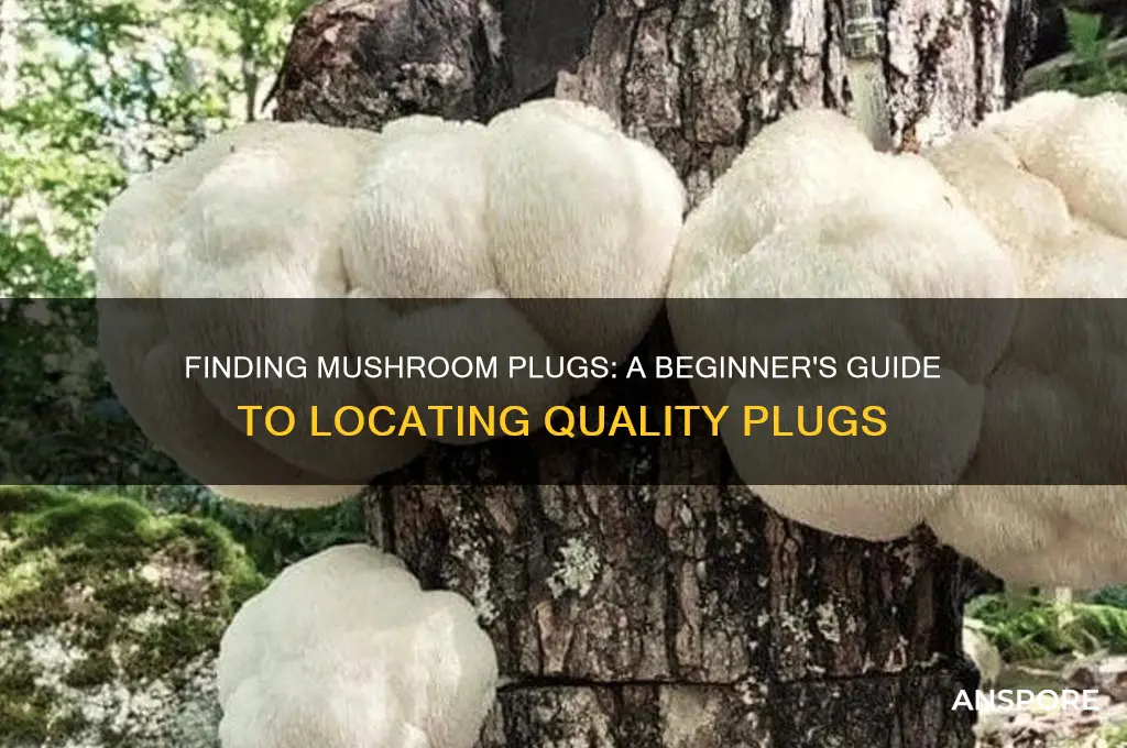how to get mushroom plug find the plugs