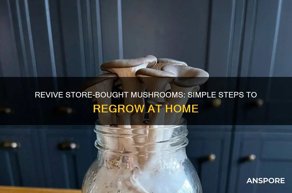 how to get mushrooms from store to grow again