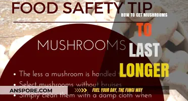 Extend Mushroom Freshness: Simple Tips for Longer-Lasting Fungi