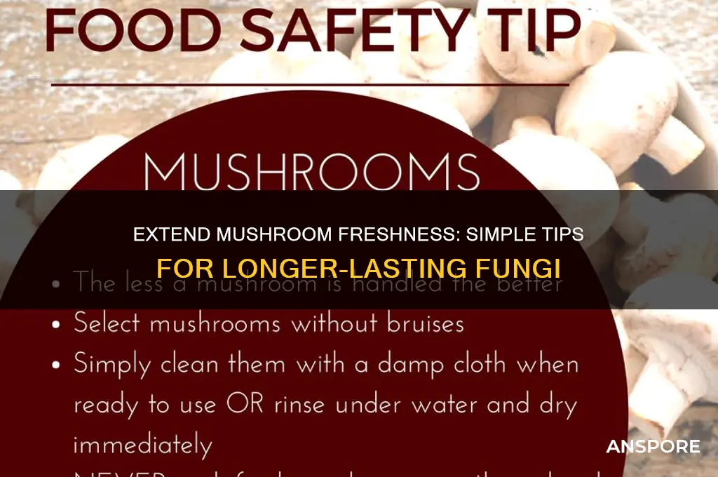 how to get mushrooms to last longer