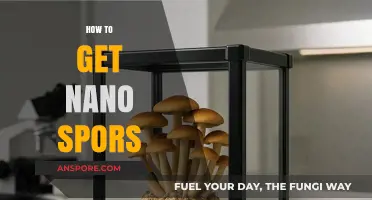 Mastering Nano Spores: Proven Techniques for Successful Cultivation and Harvesting
