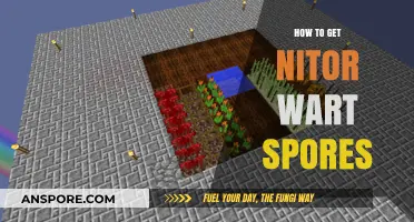 Effective Methods for Collecting and Cultivating Nitror Wart Spores