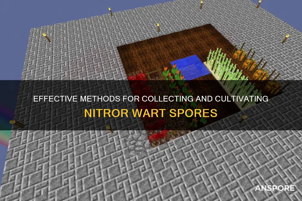 how to get nitor wart spores