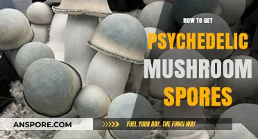 Exploring Legal Ways to Obtain Psychedelic Mushroom Spores Safely