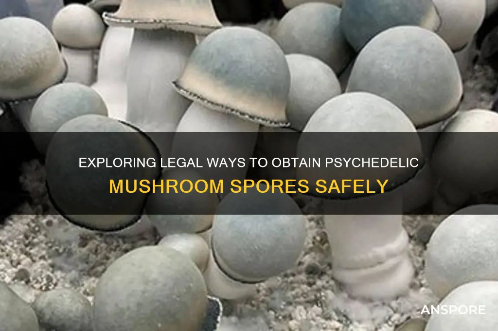 how to get psychedelic mushroom spores