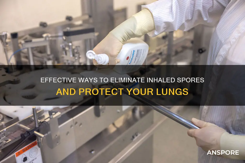 how to get rid of breathed in spores