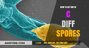 Effective Strategies to Eliminate C. Diff Spores and Prevent Infections