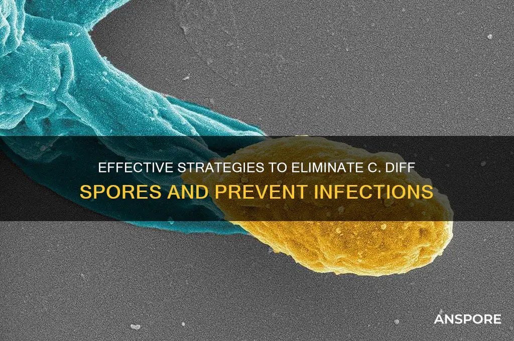 how to get rid of c diff spores
