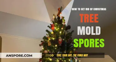 Effective Ways to Eliminate Christmas Tree Mold Spores in Your Home