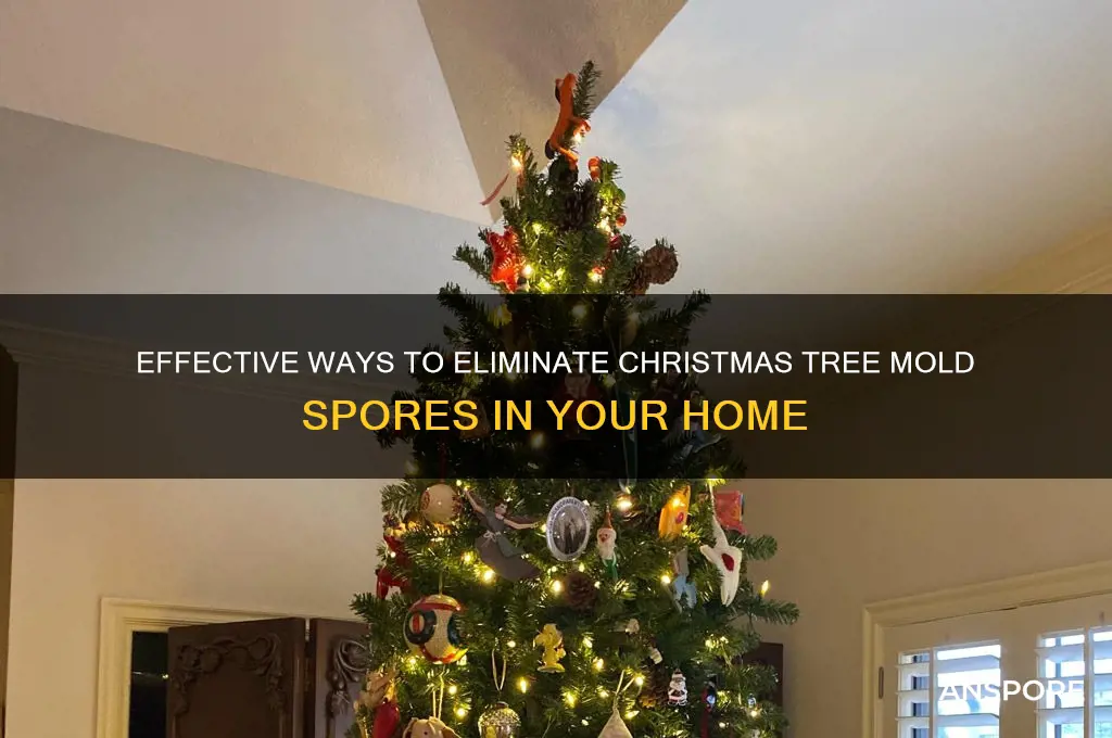 how to get rid of christmas tree mold spores