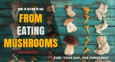 Effective Ways to Relieve Gas After Eating Mushrooms: Tips and Remedies