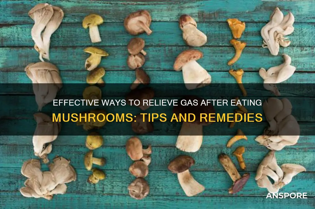 how to get rid of gas from eating mushrooms