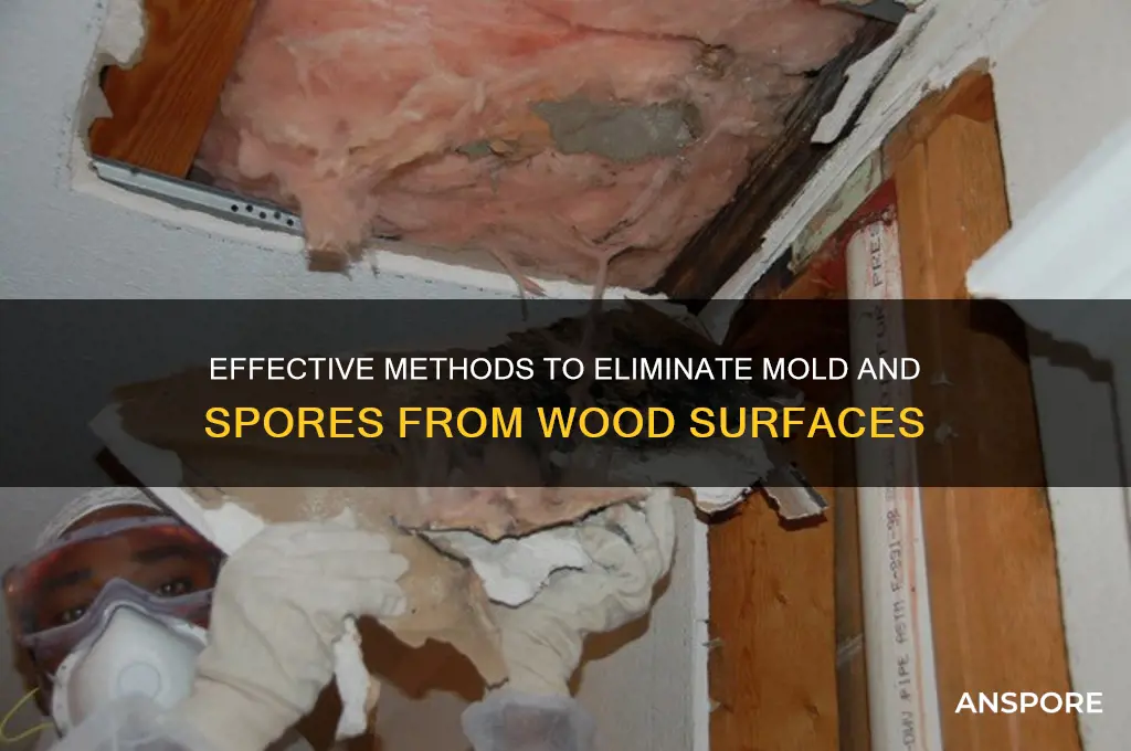 how to get rid of mold and spores on wood