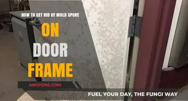 Effective Ways to Eliminate Mold Spores on Door Frames Permanently