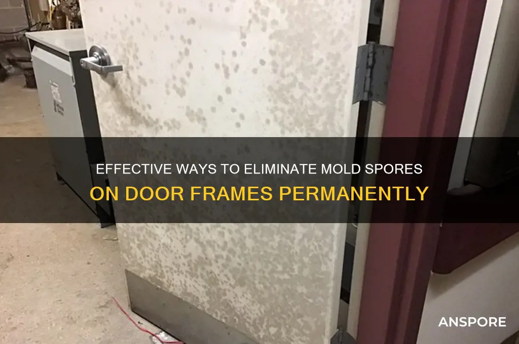 how to get rid of mold spore on door frame
