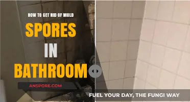 Effective Ways to Eliminate Mold Spores in Your Bathroom