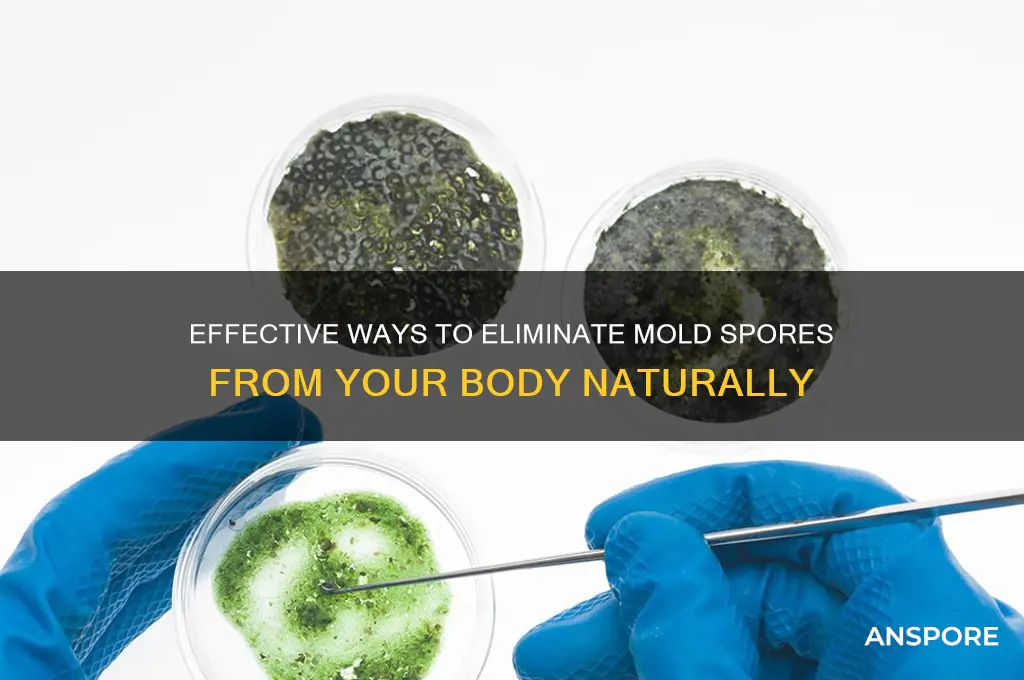 how to get rid of mold spores in body